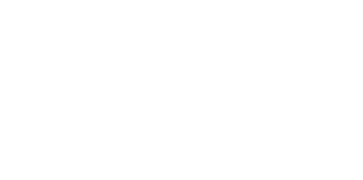 Partner logo 1