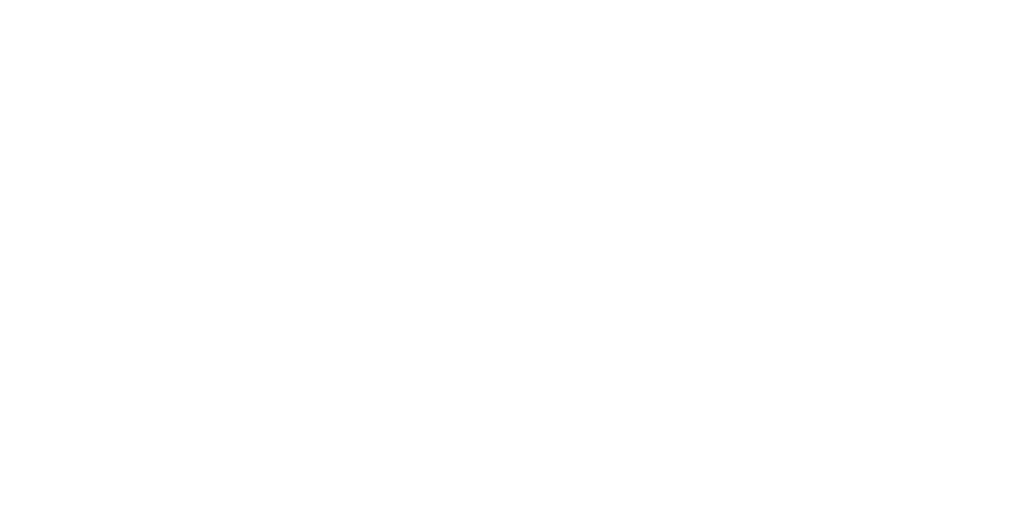 Partner logo 1