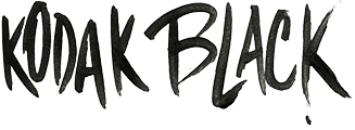 Partner logo 3
