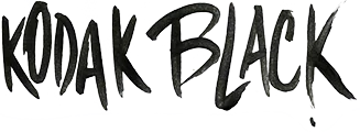 Partner logo 3