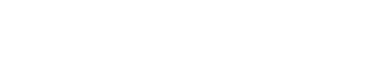 Partner logo 7