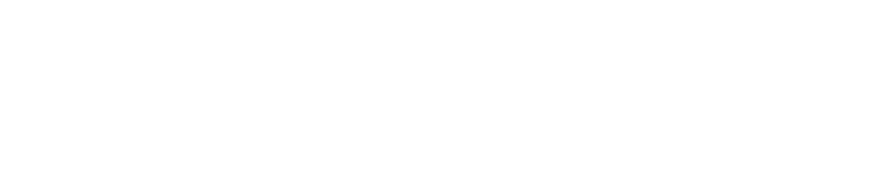 Partner logo 7